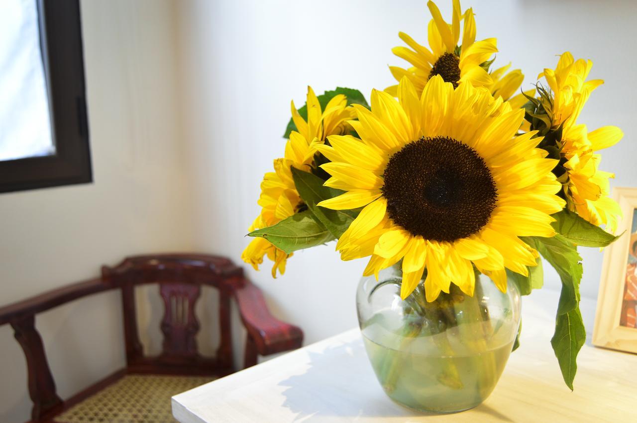 Bed and Breakfast Casa Girasol Antigua Exterior foto
